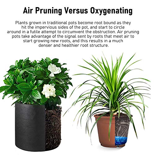 Grow Bags Tall, 7 Gallon 8 Pack Fabric Smart Grow Pots Deep with H...