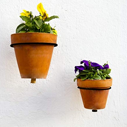 Darware Metal Wall Planter Rings 8-Inch, 4-Pack; Wall Mounted Ho...