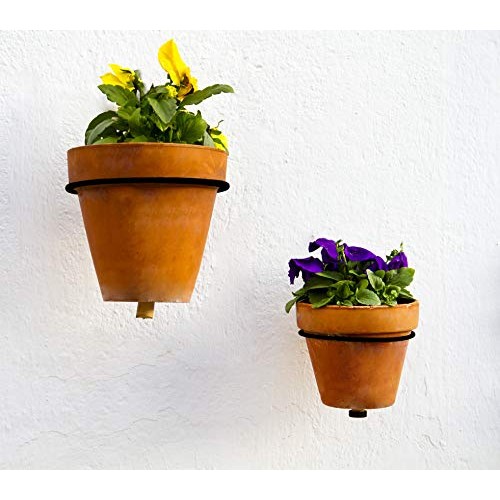 Darware Metal Wall Planter Rings 8-Inch, 4-Pack; Wall Mounted Ho...
