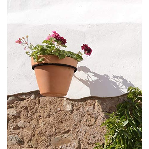 Darware Metal Wall Planter Rings 8-Inch, 4-Pack; Wall Mounted Ho...