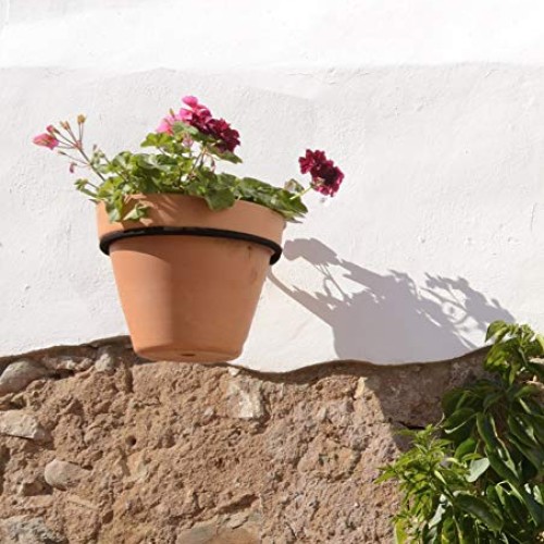 Darware Metal Wall Planter Rings 8-Inch, 4-Pack; Wall Mounted Ho...