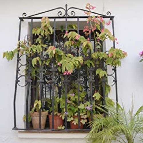 Darware Metal Wall Planter Rings 8-Inch, 4-Pack; Wall Mounted Ho...