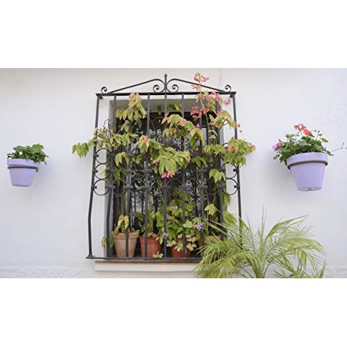 Darware Metal Wall Planter Rings 8-Inch, 4-Pack; Wall Mounted Ho...
