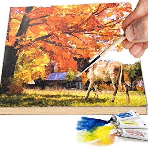 Daveliou Wooden Painting Board 8x8-6-Pack Birch Wood Boards for Cr...