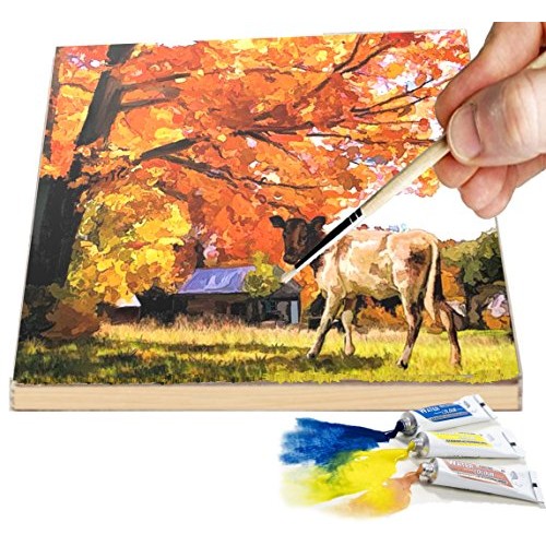 Daveliou Wooden Painting Board 8x8-6-Pack Birch Wood Boards for Cr...