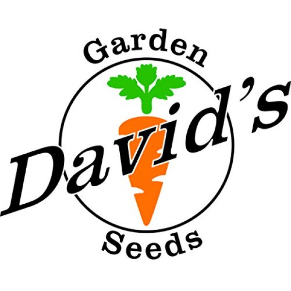 Davids Garden Seeds Cabbage Red Express D2076 Red 100 Organic S...