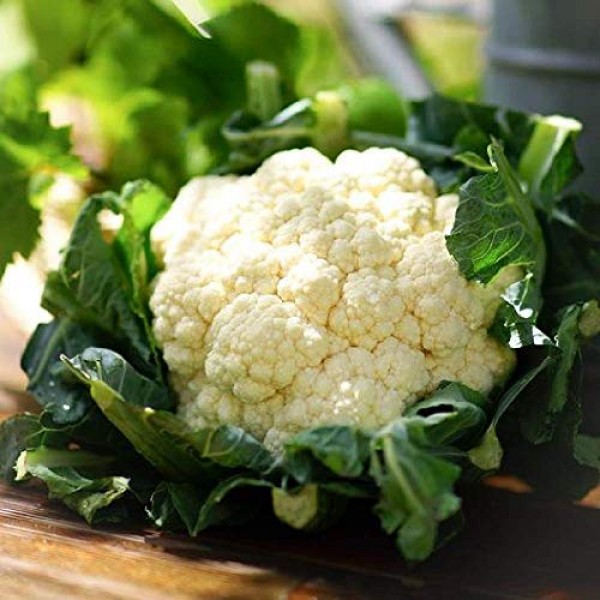 Davids Garden Seeds Cauliflower Snowball Y Improved SL6574 White...