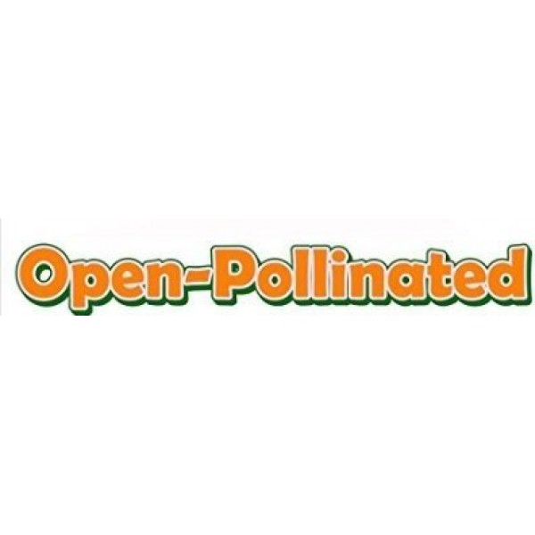 Davids Garden Seeds Collection Set Cabbage Open Pollinated 7657 ...