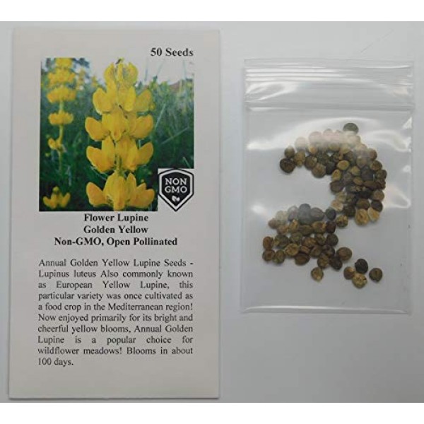 Davids Garden Seeds Flower Lupine Golden Yellow 4566 Yellow 50 ...
