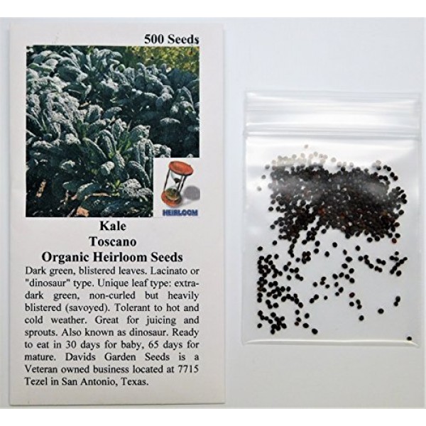 Davids Garden Seeds Kale Toscano SL2123 Green 500 Non-GMO, Heir...