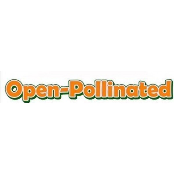 Davids Garden Seeds Pea Sugar Snap OS310 Green 100 Open Pollina...