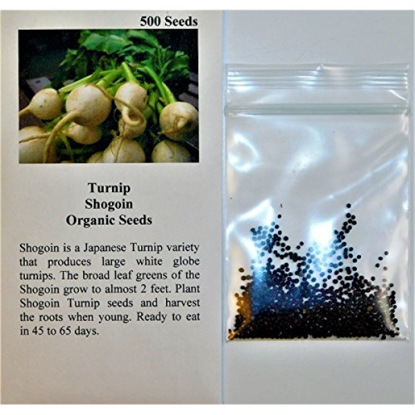 Davids Garden Seeds Turnip Shogoin 7766 White 500 Non-GMO, Heir...