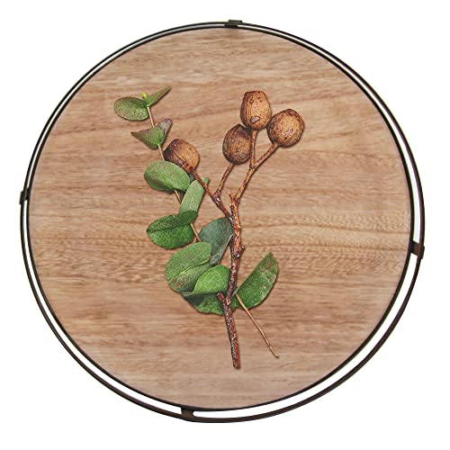 Defined Deco 12 inch Decorative Tray,Round Tray with Metal Handle,...