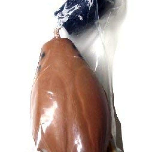 LD-300 ~ BLUEWING TEAL LAUNCHER DUMMY Training Dummy Hunting Dog D...