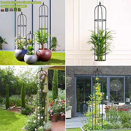 Trellis for Climbing Plants Outdoor, Deaunbr Garden Plant Support ...