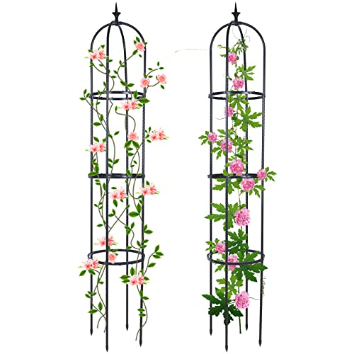 Trellis for Climbing Plants Outdoor, Deaunbr Garden Plant Support ...
