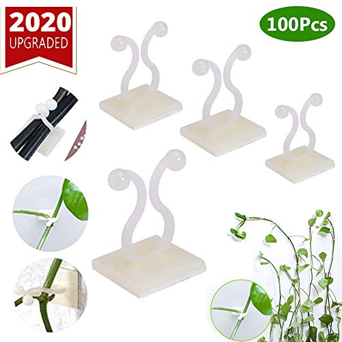 debieborahtoys 100Pcs Plant Climbing Wall Fixture Clips Self-Adhes...
