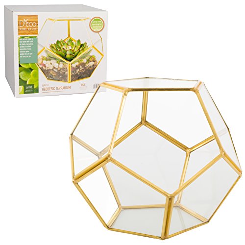 Deco Glass Geometric Terrarium, Succulent & Air Plant - Sphere 8....