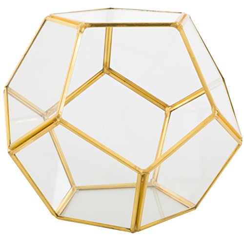 Deco Glass Geometric Terrarium, Succulent & Air Plant - Sphere 8....