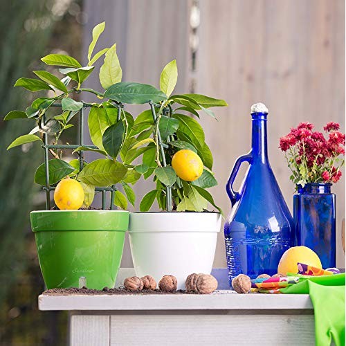 DecoPots - Self Watering Planter - Modern Flower Pot with Water Le...