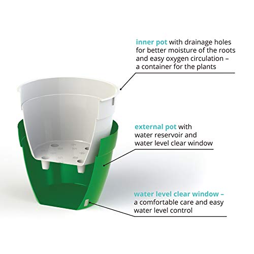 DecoPots - Self Watering Planter - Modern Flower Pot with Water Le...