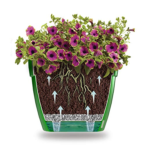 DecoPots - Self Watering Planter - Modern Flower Pot with Water Le...