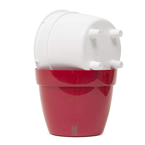 DecoPots - Self Watering Planter - Modern Flower Pot with Water Le...