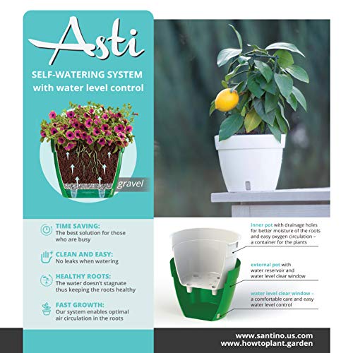 DecoPots - Self Watering Planter - Modern Flower Pot with Water Le...