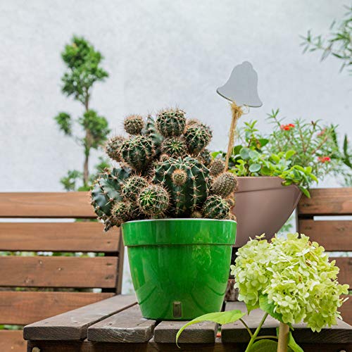 DecoPots - Self Watering Planter - Modern Flower Pot with Water Le...