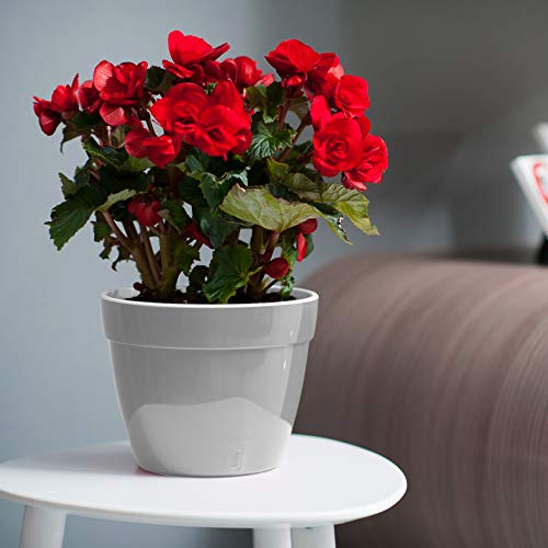 DecoPots - Self Watering Planter - Modern Flower Pot with Water Le...