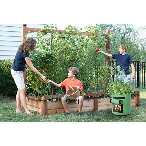 Decorlife 8 Pack 7 Gallon Grow Bags Combo Set, Include 4 Potato Ba...