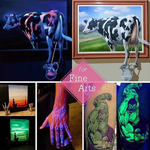 10 Color Glow In The Dark Pigment Powder with UV Lamp - Epoxy Resi...
