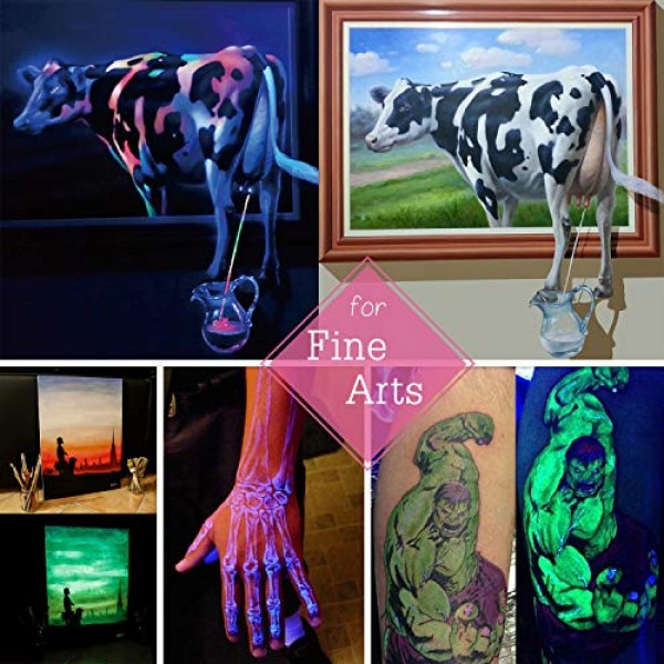 10 Color Glow In The Dark Pigment Powder with UV Lamp - Epoxy Resi...