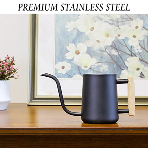 DECWXON Watering can for Indoor Plants,Indoor Watering Can for Hou...