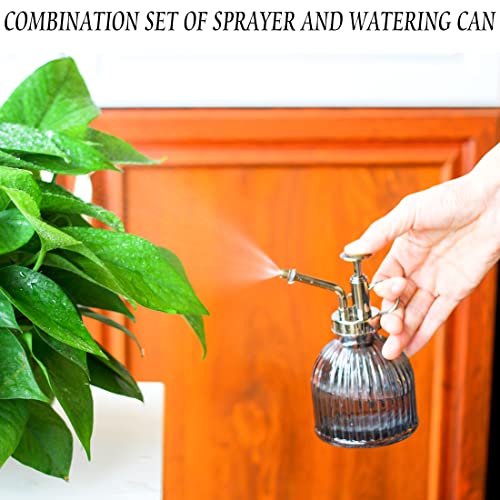 DECWXON Watering can for Indoor Plants,Indoor Watering Can for Hou...