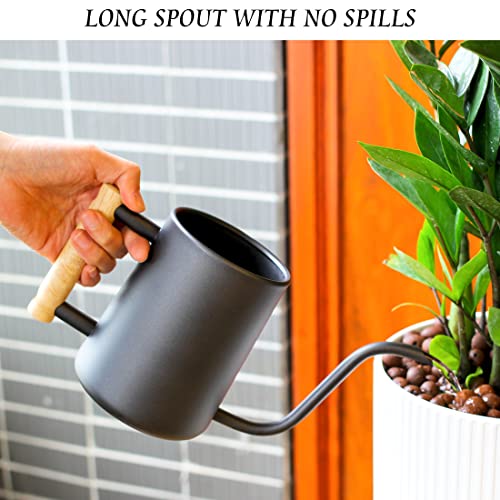 DECWXON Watering can for Indoor Plants,Indoor Watering Can for Hou...