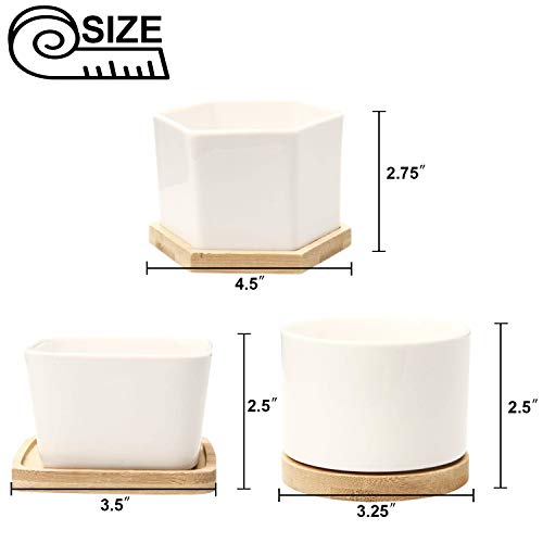 DeeCoo Set of 6 Small Succulent Pots, Ceramic Planter Pots, Mini P...