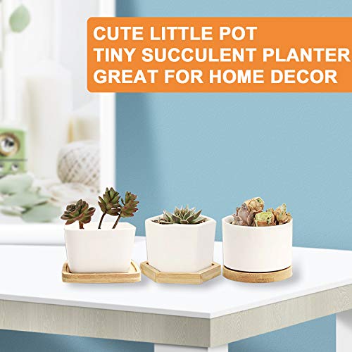 DeeCoo Set of 6 Small Succulent Pots, Ceramic Planter Pots, Mini P...