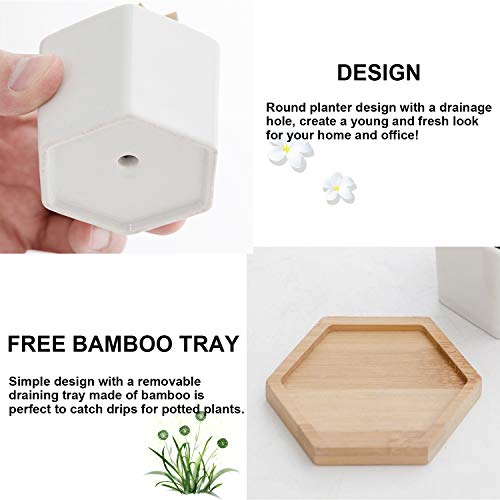 DeeCoo Set of 6 Small Succulent Pots, Ceramic Planter Pots, Mini P...