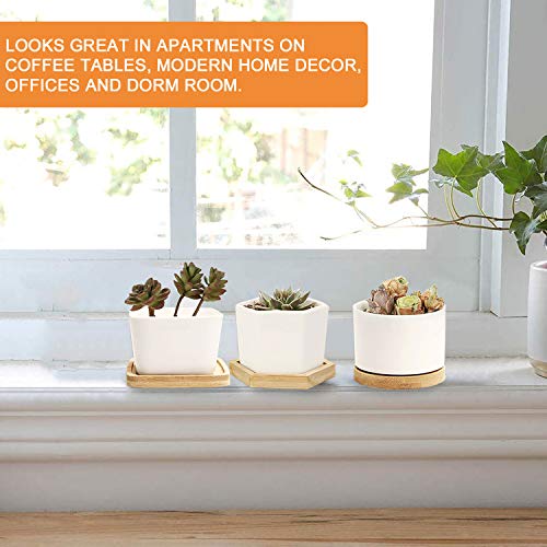 DeeCoo Set of 6 Small Succulent Pots, Ceramic Planter Pots, Mini P...