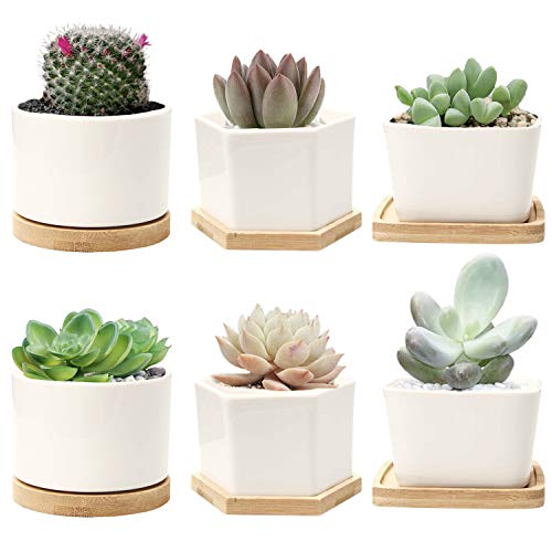 DeeCoo Set of 6 Small Succulent Pots, Ceramic Planter Pots, Mini P...