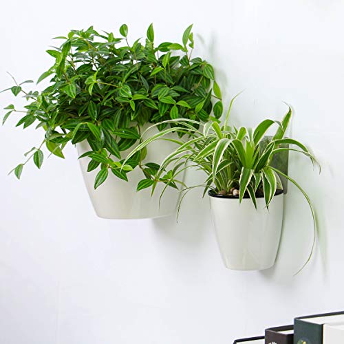 DeELF Outlet 6 Packs 5 Plastic Self Watering Pots Wall Hanging Pl...