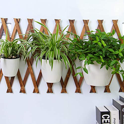 DeELF Outlet 6 Packs 5 Plastic Self Watering Pots Wall Hanging Pl...