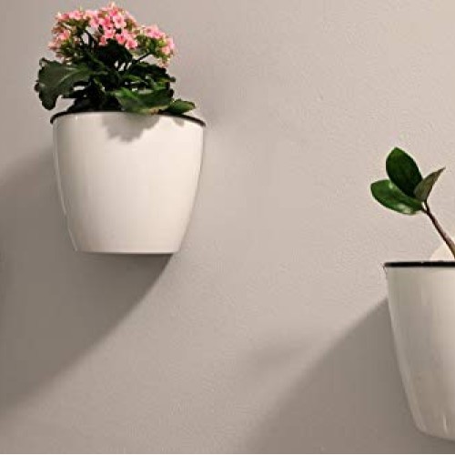 DeELF Outlet 6 Packs 5 Plastic Self Watering Pots Wall Hanging Pl...