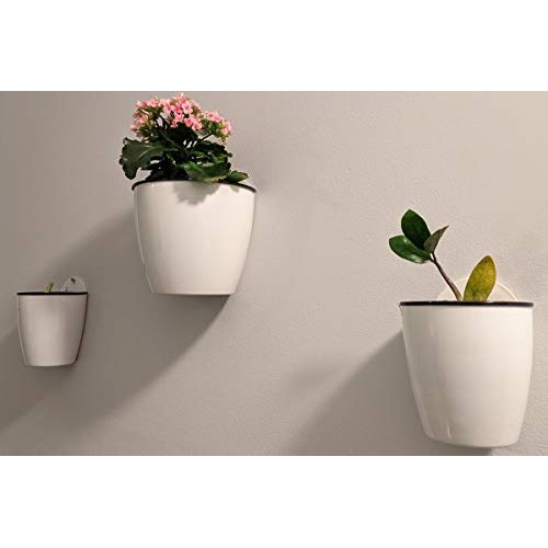 DeELF Outlet 6 Packs 5 Plastic Self Watering Pots Wall Hanging Pl...