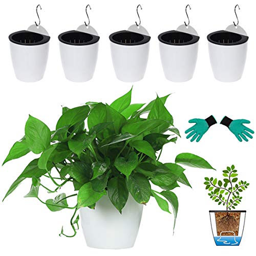DeELF Outlet 6 Packs 5 Plastic Self Watering Pots Wall Hanging Pl...