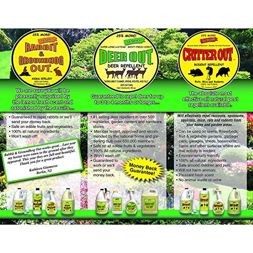 Deer Out 1 Gallon Ready-to-Use - Refill Deer Repellent NO Sprayer ...