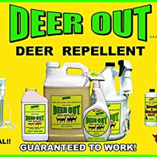 Deer Out 1 Gallon Ready-to-Use - Refill Deer Repellent NO Sprayer ...