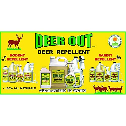 Deer Out 1 Gallon Ready-to-Use - Refill Deer Repellent NO Sprayer ...