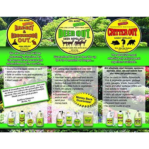 Deer Out 48oz Ready-to-Use Deer Repellent